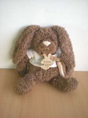 Histoire d ours Lapin Marron tshirt petit sac blanc - Très bon état
